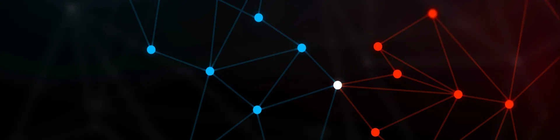 project-image