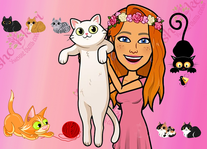 Почему кошка высовывает язык | Мир розовой феи | Sponsr